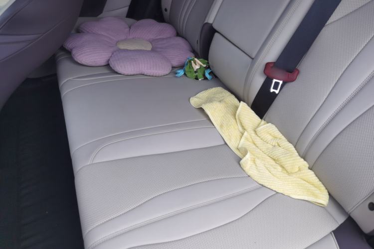 Used BYD Song PLUS New Energy 2025 DM-i Intelligent Driving 160KM Flagship Model Left Rear Seat