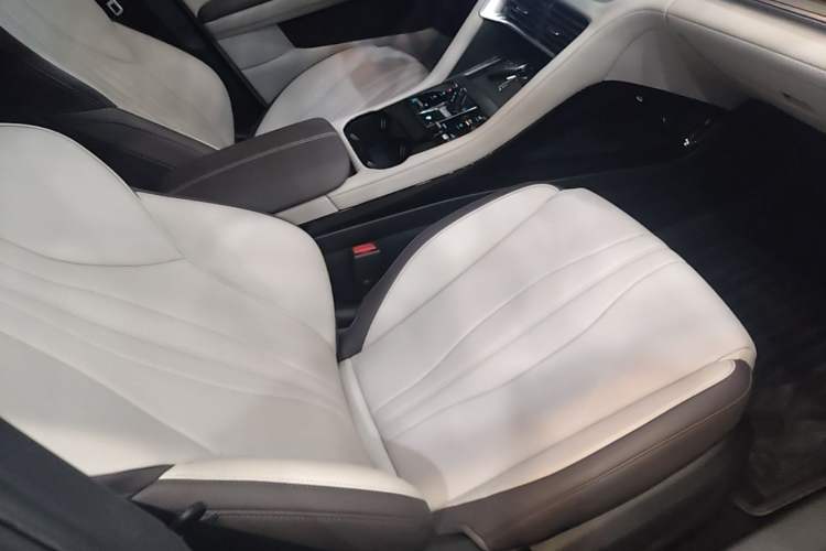 Used BYD Song PLUS New Energy 2025 EV 520km Luxury Version Right Front Seat