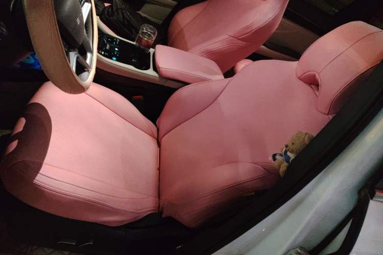 Used BYD Song PLUS New Energy 2025 DM-i 112KM Prestige Model Left Front Seat