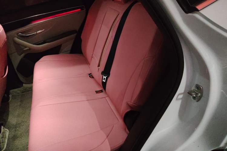 Used BYD Song PLUS New Energy 2025 DM-i 112KM Prestige Model Left Rear Seat