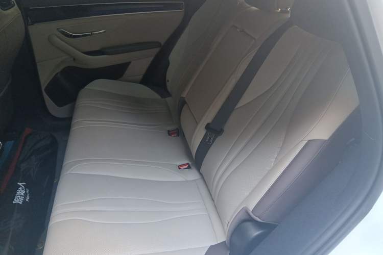 Used BYD Song PLUS New Energy 2025 EV 520km Premium Version Left Rear Seat