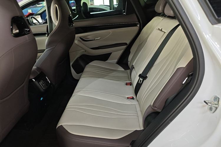 Used BYD Song PLUS New Energy 2025 EV 520km Luxury Version Left Rear Seat