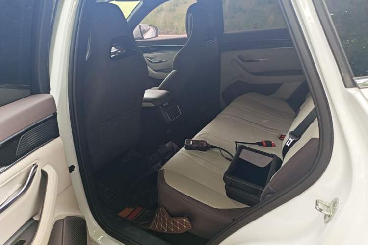 Used BYD Song PLUS New Energy 2025 DM-i 112KM Prestige Model Left Rear Seat