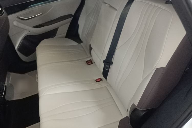 Used BYD Song PLUS New Energy 2025 DM-i 112KM Prestige Model Left Rear Seat
