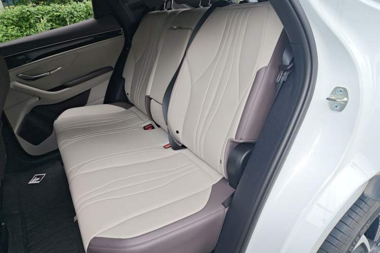 Used BYD Song PLUS New Energy 2025 DM-i 112KM Prestige Model Left Rear Seat