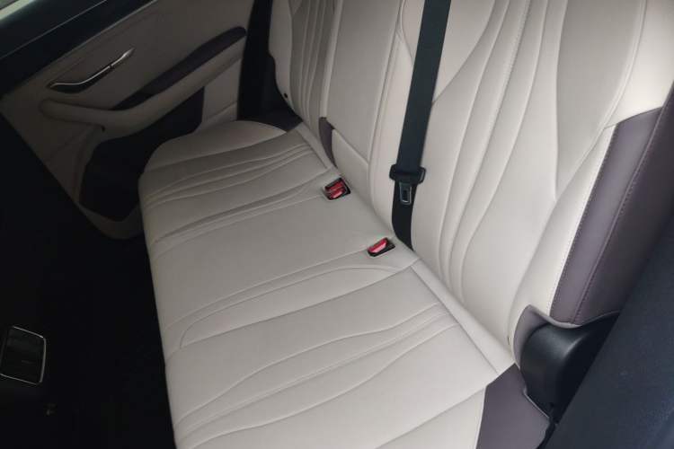 Used BYD Song PLUS New Energy 2025 DM-i Intelligent Driving 112KM Prestige Model Left Rear Seat