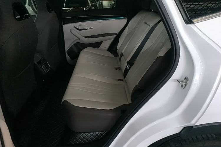 Used BYD Song PLUS New Energy 2025 DM-i Intelligent Driving 112KM Prestige Model Left Rear Seat