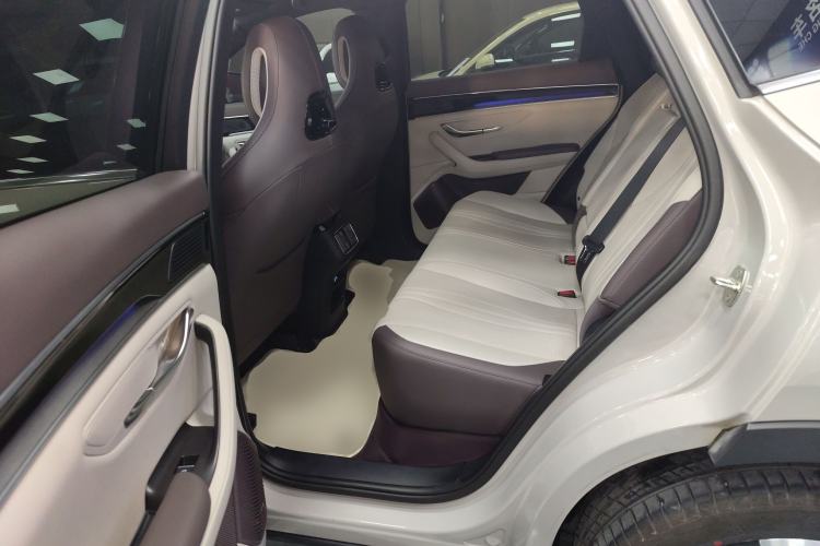 Used BYD Song PLUS New Energy 2025 DM-i Smart Drive 112KM Prestige Model Left Rear Seat
