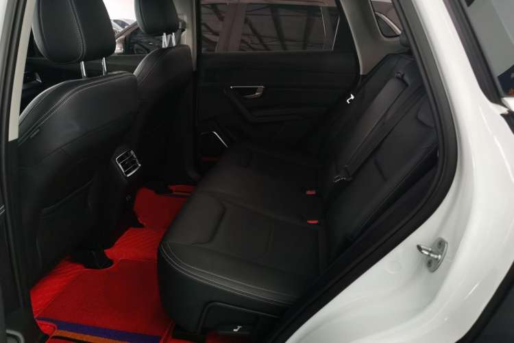 Used BYD Song Pro 2019 1.5T Automatic Luxury Model Left Rear Seat