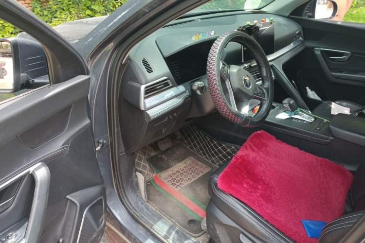 Used BYD Song Pro 2019 1.5T Automatic Elite Edition Driver Seat