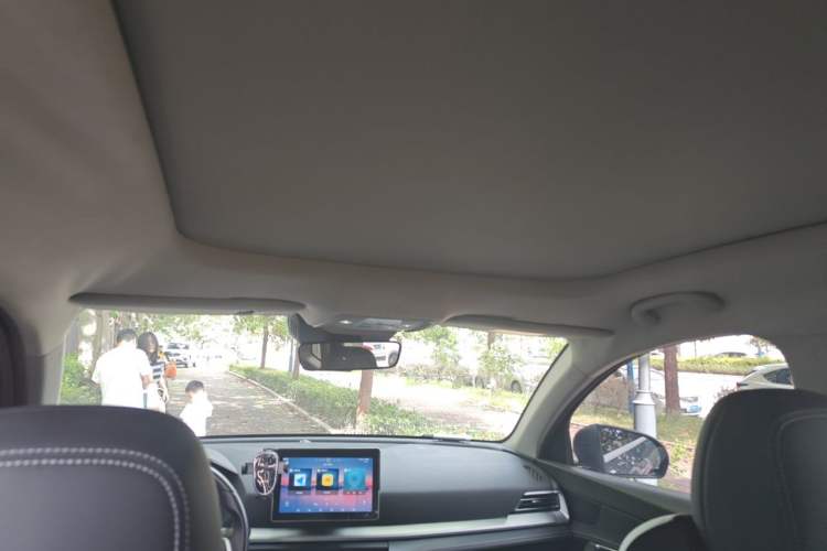 Used BYD Song Pro 2019 1.5T Automatic Luxury Model Headliner