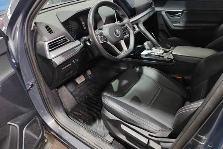 Used BYD Song Pro 2019 1.5T Automatic Luxury Model Left Front Seat