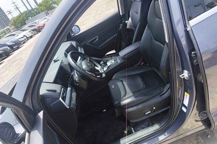 Used BYD Song Pro 2019 1.5T Automatic Prestige Model Left Front Seat