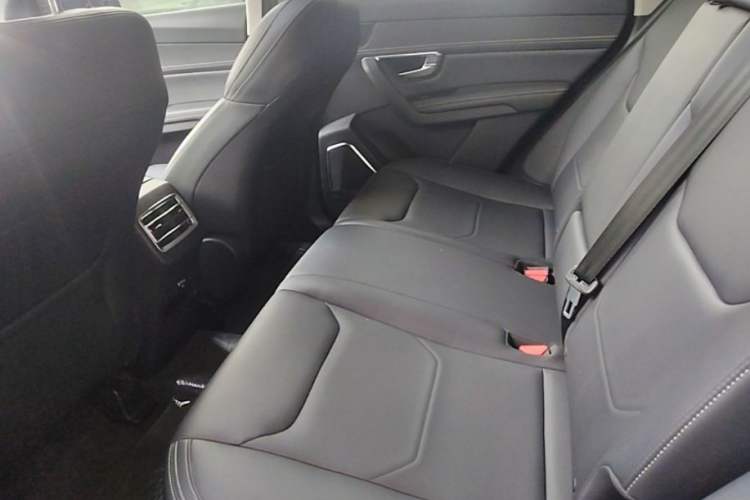 Used BYD Song Pro 2019 1.5T Automatic Luxury Model Left Rear Seat