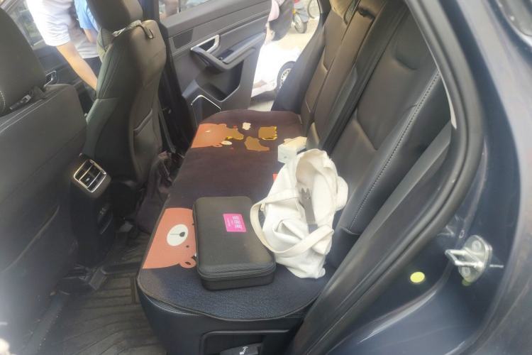 Used BYD Song Pro 2019 1.5T Automatic Luxury Model Left Rear Seat