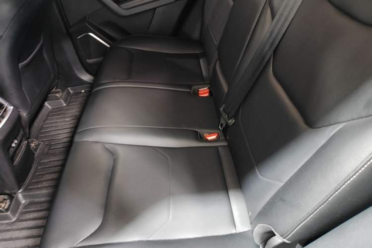 Used BYD Song Pro 2019 1.5T Automatic Luxury Model Left Rear Seat