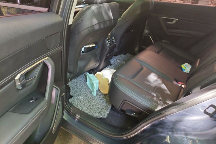 Used BYD Song Pro 2019 1.5T Automatic Prestige Model Left Rear Seat