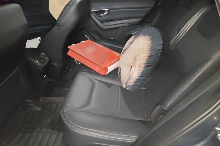 Used BYD Song Pro 2019 1.5T Automatic Prestige Model Left Rear Seat