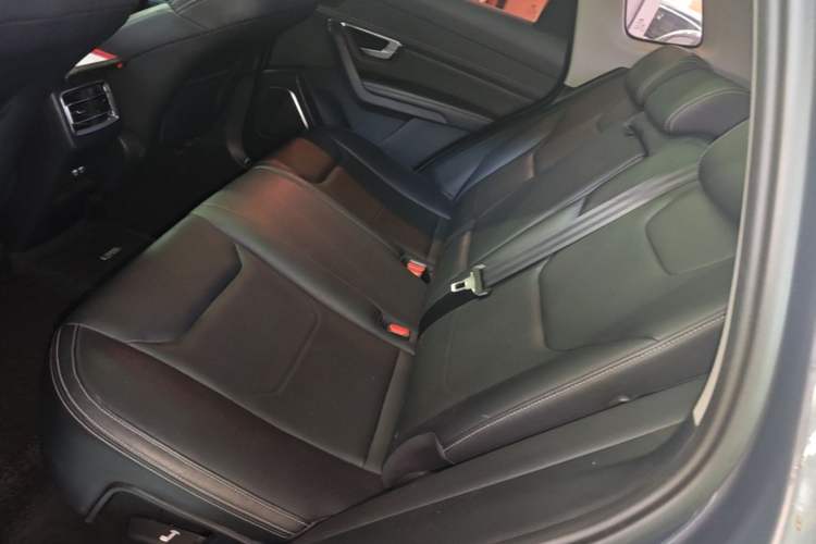 Used BYD Song Pro 2019 1.5T Automatic Luxury Model Left Rear Seat