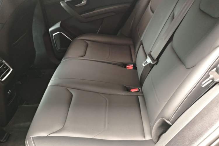 Used BYD Song Pro 2019 1.5T Automatic Luxury Model Left Rear Seat