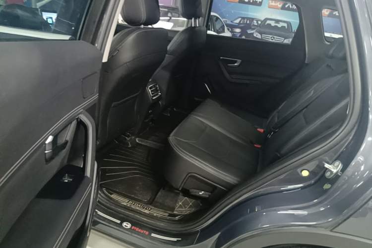 Used BYD Song Pro 2019 1.5T Automatic Luxury Model Left Rear Seat