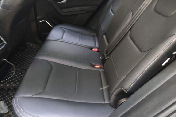 Used BYD Song Pro 2019 1.5T Automatic Elite Edition Left Rear Seat