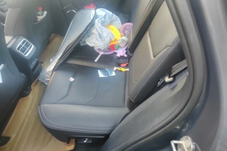 Used BYD Song Pro 2019 1.5T Automatic Luxury Model Left Rear Seat