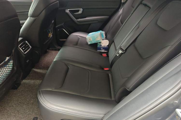 Used BYD Song Pro 2019 1.5T Automatic Prestige Model Left Rear Seat