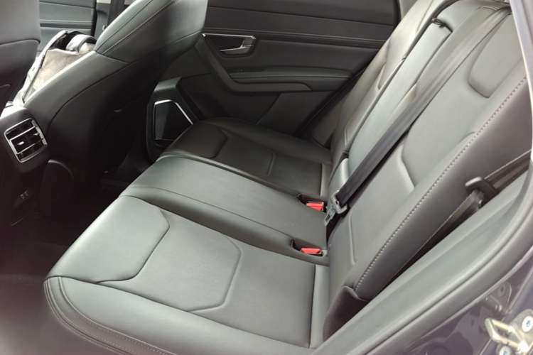 Used BYD Song Pro 2019 1.5T Automatic Luxury Model Left Rear Seat