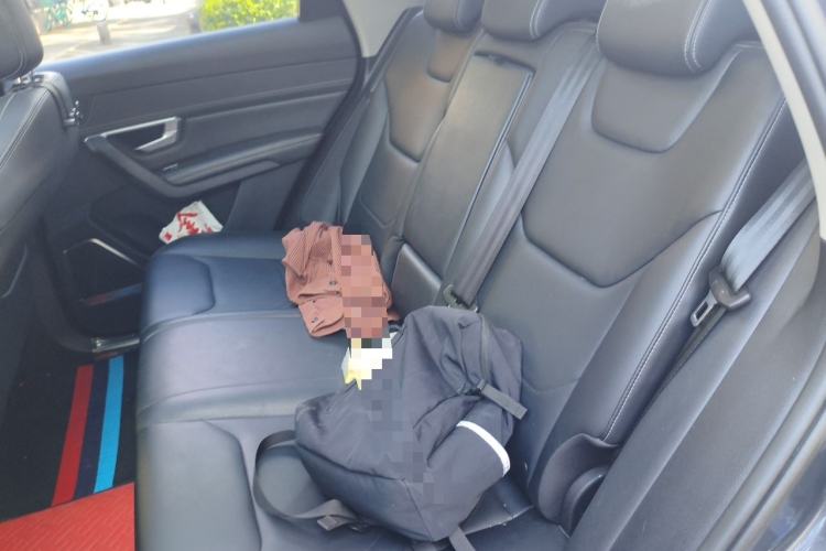 Used BYD Song Pro 2019 1.5T Automatic Elite Edition Left Rear Seat