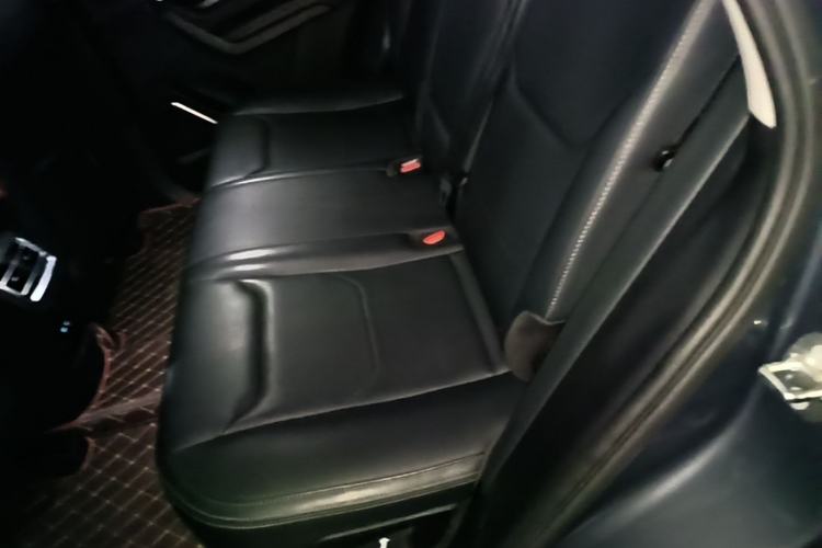 Used BYD Song Pro 2019 1.5T Automatic Luxury Model Left Rear Seat