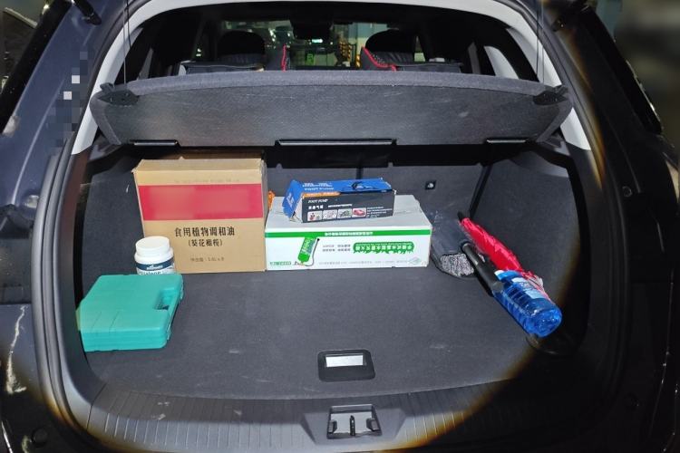 Used BYD Song Pro 2019 1.5T Automatic Luxury Model Trunk