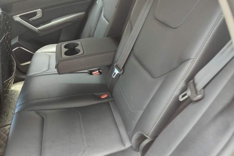 Used BYD Song Pro 2019 1.5T Automatic Luxury Model Left Rear Seat