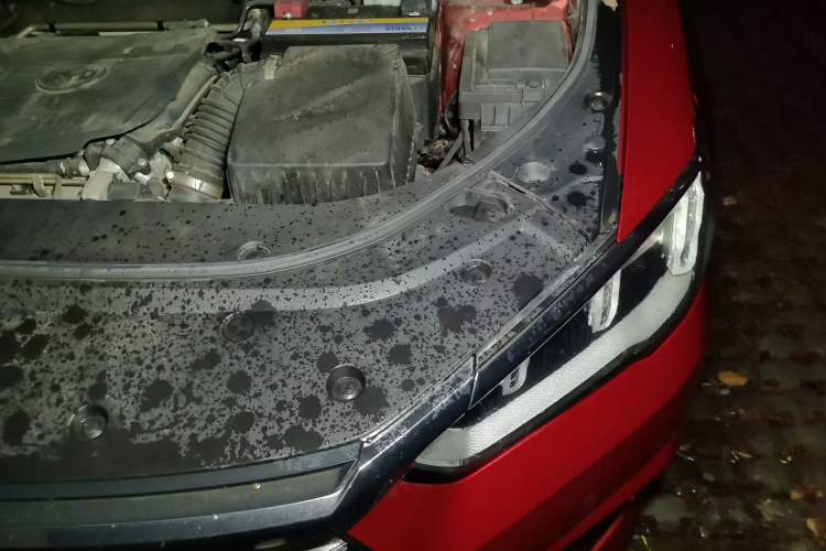 Used BYD Song Pro 2019 1.5T Automatic Luxury Model Engine Bay Left