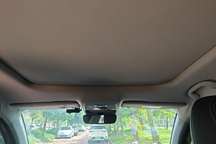Used BYD Song Pro 2019 1.5T Automatic Prestige Model Headliner