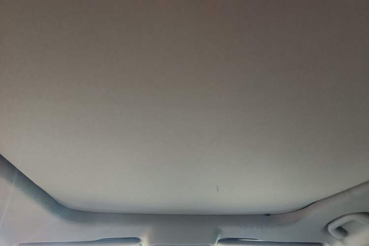 Used BYD Song Pro 2019 1.5T Automatic Luxury Model Headliner