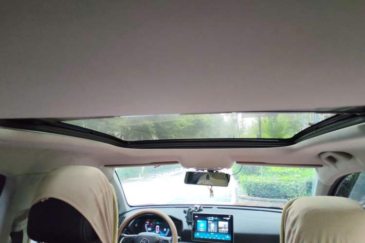 Used BYD Song Pro 2019 1.5T Automatic Elite Edition Headliner
