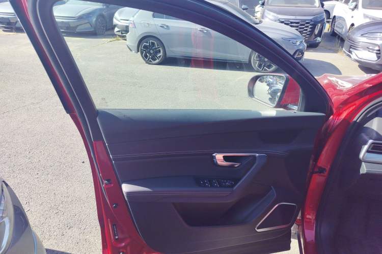 Used BYD Song Pro 2019 1.5T Automatic Luxury Model Left Front Door Interior