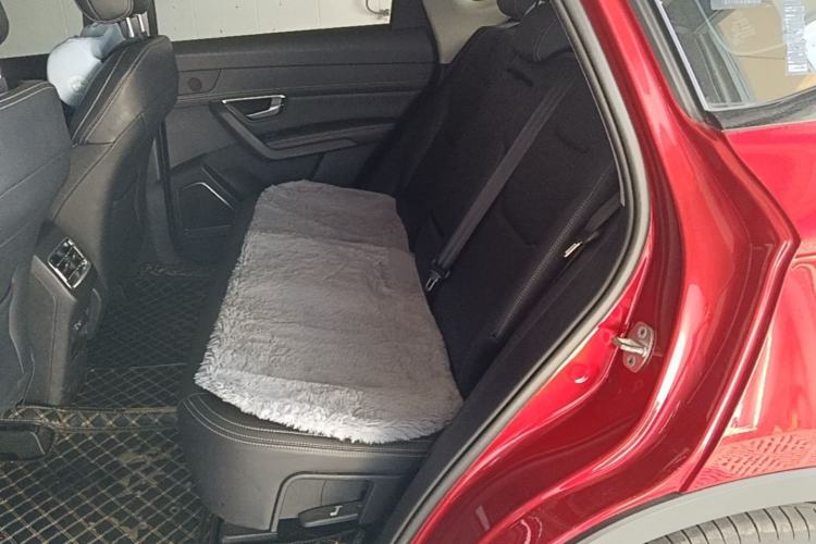 Used BYD Song Pro 2019 1.5T Automatic Luxury Model Left Rear Seat