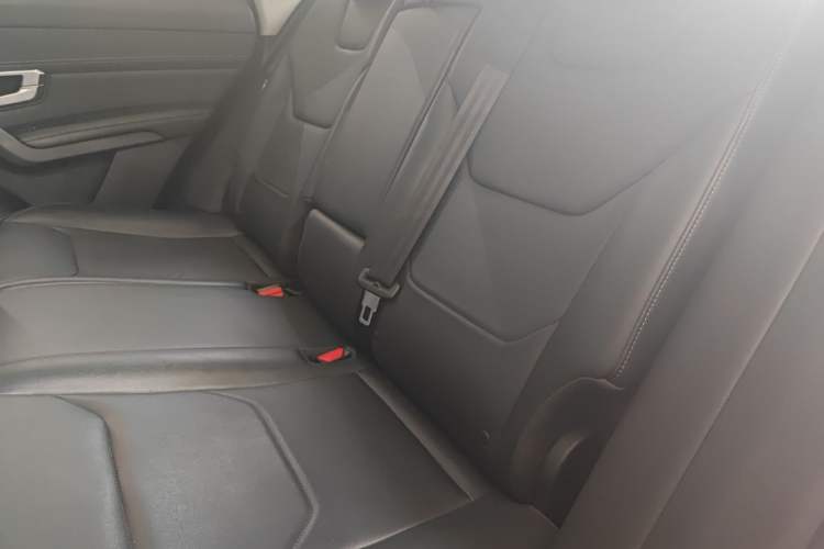 Used BYD Song Pro 2019 1.5T Automatic Luxury Model Left Rear Seat