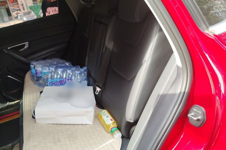 Used BYD Song Pro 2019 1.5T Automatic Luxury Model Left Rear Seat