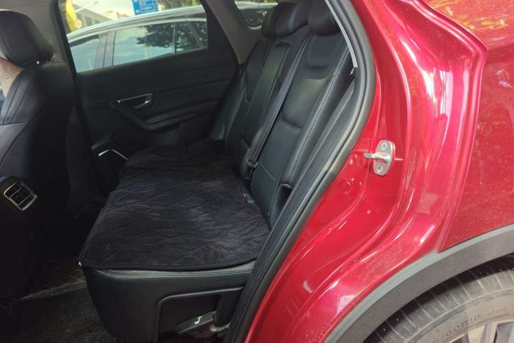 Used BYD Song Pro 2019 1.5T Automatic Luxury Model Left Rear Seat
