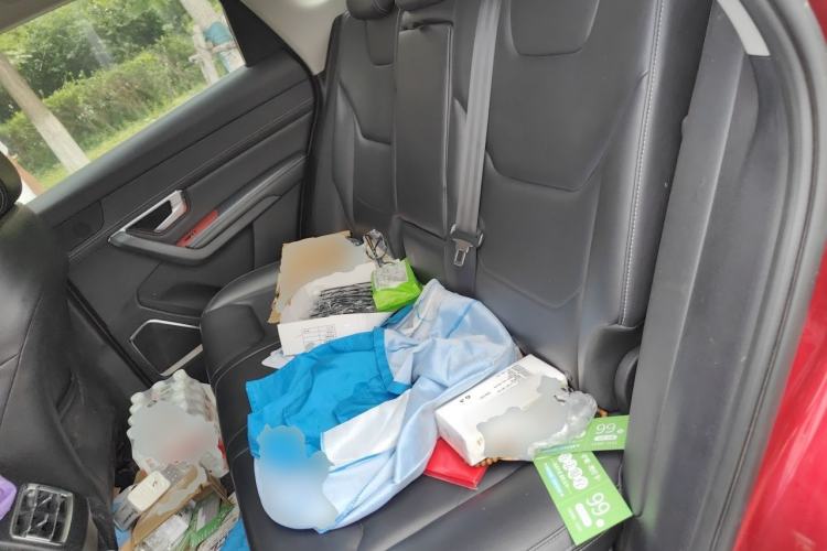Used BYD Song Pro 2019 1.5T Automatic Luxury Model Left Rear Seat