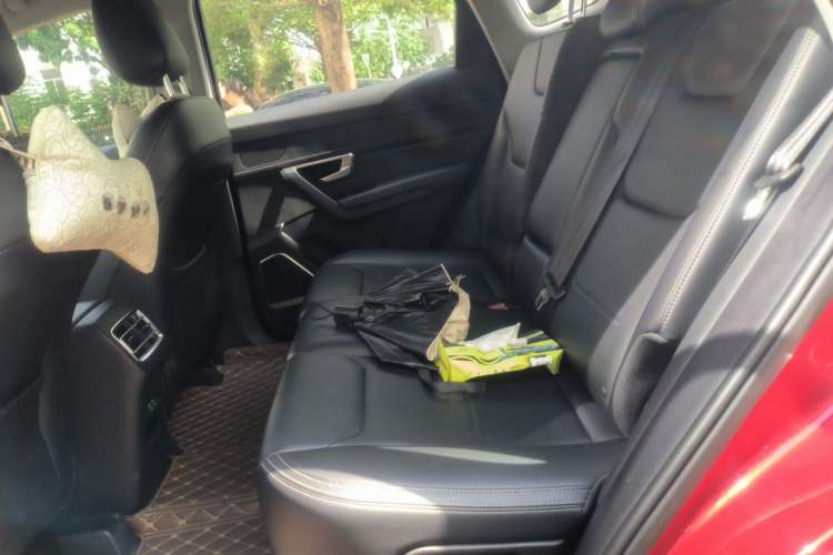 Used BYD Song Pro 2019 1.5T Automatic Luxury Model Left Rear Seat