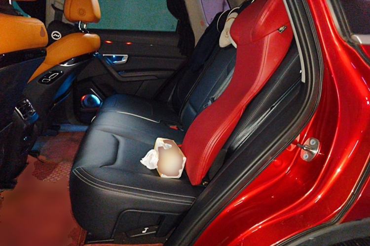Used BYD Song Pro 2019 1.5T Automatic Luxury Model Left Rear Seat
