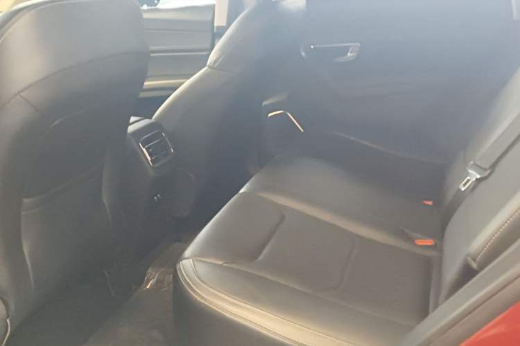 Used BYD Song Pro 2019 1.5T Automatic Prestige Model Left Rear Seat
