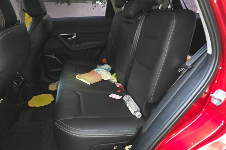 Used BYD Song Pro 2019 1.5T Automatic Luxury Model Left Rear Seat