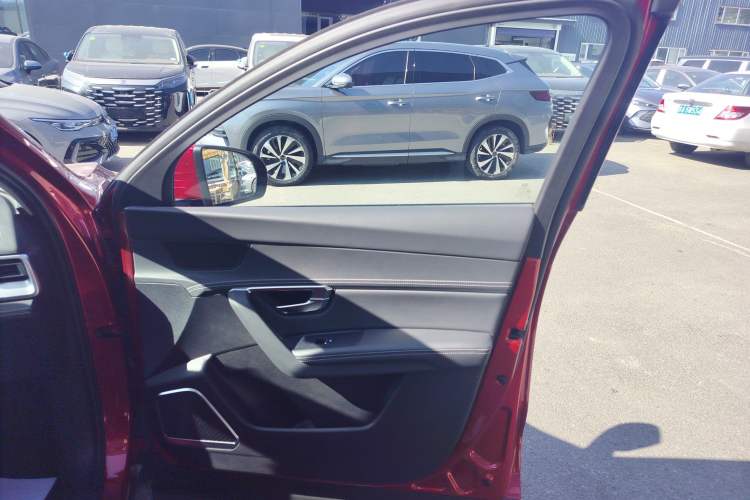 Used BYD Song Pro 2019 1.5T Automatic Luxury Model Right Front Door Interior