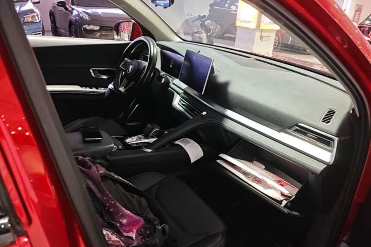 Used BYD Song Pro 2019 1.5T Automatic Luxury Model Right Front Seat