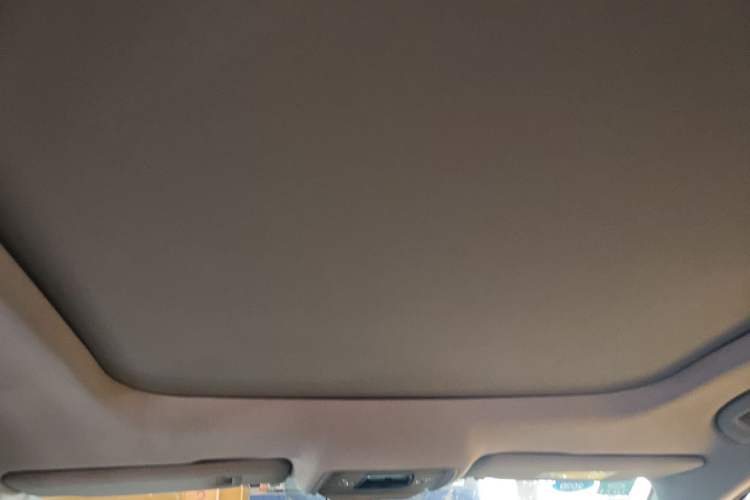 Used BYD Song Pro 2019 1.5T Automatic Elite Edition Headliner